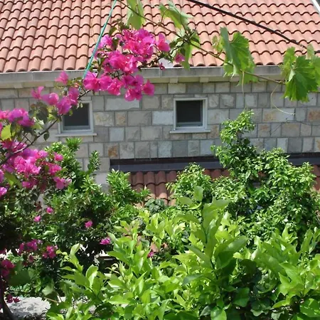 Appartement Azure - One Bedroom Jeny Saplunara